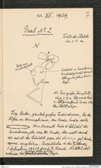 Seite 9, Tagebuch "Bronz. Gräberfeld II |Statzendorf" (NHMW-PRAE-BBB-51)